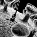 nano teknoloji nerelerde kullanılır