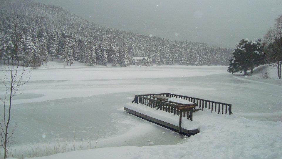 TDF Gençlik Kolları ABANT Gezisi